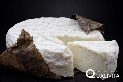 Mothais sur feuille DOP