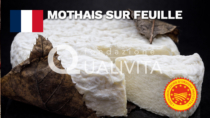 Mothais sur feuille DOP