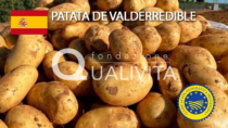 Patata de Valderredible IGP