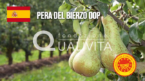 Pera del Bierzo DOP - Spagna