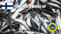 Simojärven Muikku IGP - Finlandia