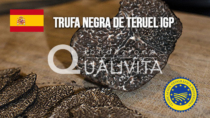 Trufa negra de Teruel IGP - Spagna