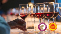 L’Abruzzo del vino conquista New York: oltre 4.000 presenze per Move the Passion