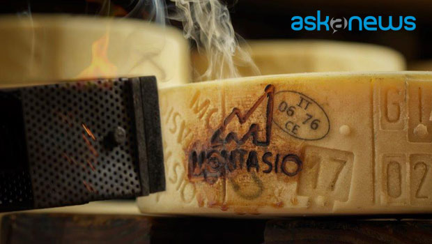montasio dop