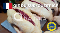 Oie du Sud-Ouest IGP