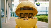 Il Limone di Siracusa IGP parla all’Europa: 260 milioni di contatti grazie a LemON