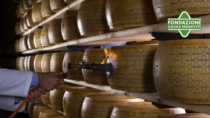 Fondazione Grana Padano porta la filiera DOP nel master sulla sostenibilità di Poli.Design