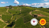Vendemmia 2026: il Consorzio Tutela Vini D’Acqui si prepara a una raccolta anticipata e di alta qualità
