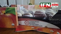 Verona chiama a raccolta il sistema ortofrutticolo DOP e IGP