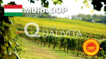 Mura DOP - Ungheria