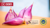 [Riolo Terme – luglio 2026] Sagra dello Scalogno di Romagna IGP, 34ª edizione