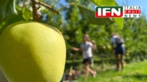 Il vino ha l’enoturismo. L’ortofrutta cosa aspetta?