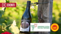 [Vho di Tortona, 11 luglio 2026] A Vho di Tortona torna la "Notte del Derthona Timorasso"