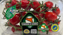 Pomodoro di Pachino IGP e Galbani insieme nel must dell’estate: la caprese