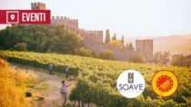 [Verona, 7 settembre 2026] Appuntamento Soave: l’evoluzione del presente