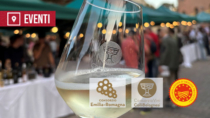 [Bologna, 9 settembre 2026] Mostra Assaggio Vini Colli Bolognesi