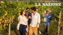 Vendemmia e turismo: "Boom di visitatori. È un’esperienza per tutta la famiglia"