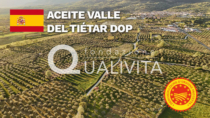 Aceite Valle del Tiétar DOP - Spagna