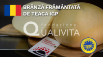 Brânză frământată de Teaca IGP - Romania