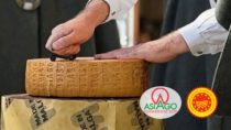 Made in Malga, aperto Asiago DOP Prodotto della Montagna di 10 anni: tra i più preziosi d