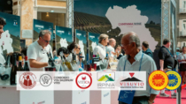 Campania Wine 2026, straordinario successo per la sinergia tra Consorzi, Regione Campania e Comune di Napoli