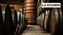 Maxi furto di Barolo DOP nelle Langhe, tremila bottiglie rubate in tre ore