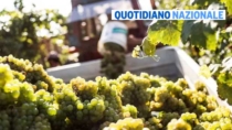 Turismo DOP, i Consorzi tra sperimentazione e ospitalità d’eccellenza