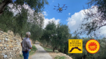 Consorzio dell’Olio Riviera Ligure DOP: OLIGREEN, i droni entrano in campo per la difesa dell’olivicoltura