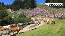 Il Friuli, le sagre e il tempo che cambia