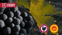 [Greve in Chianti, 10-13 settembre 2026] Expo Chianti Classico, 54ª edizione – Quattro giorni dedicati al vino delle colline del Gallo Nero
