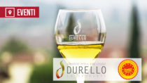 [Montecchio Maggiore (VI) – 9 novembre 2026] Monti Lessini Sparkling Experience – L