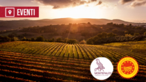 [Montefalco – 18-20 settembre 2026] Enologica Montefalco: tre giorni tra degustazioni, cucina, arte e territorio per raccontare il modello Montefalco