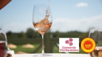 Turismo DOP leva per export del Bardolino DOP Chiaretto