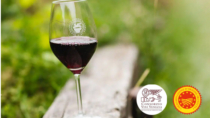 Consorzio Vini Venezia: il Piave DOP protagonista a "Rosso Autoctono"