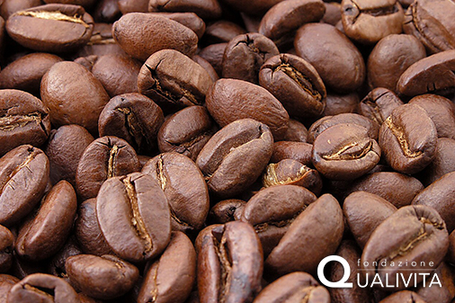 Café Antigua IGP Foto-1 Café Antigua IGP foto-1