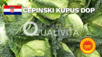 Čepinski kupus DOP - Croazia