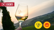 [Cormòns (GO), 25-26 ottobre 2026] Collio Evolution