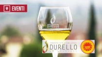 [Montecchio Maggiore (VI) – 9 novembre 2026] Monti Lessini Sparkling Experience, prima edizione – L