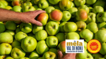 A Madrid, il Consorzio della Mela Val di Non DOP lancia la campagna 26/27