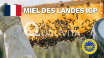Miel des Landes IGP - Francia