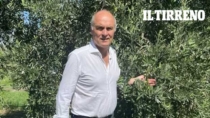 Toscano IGP Olio EVO, Filippi: "Pesano i costi di produzione"