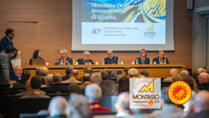 montasio