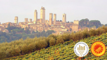 Vernaccia di San Gimignano DOP in tour: la regina bianca di toscana fa tappa a Roma