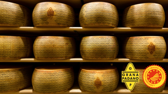 Grana Padano DOP