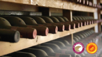 Il Consorzio Tutela Vini d’Abruzzo a Düsseldorf con una collettiva di 13 aziende