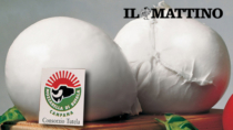 Mozzarella di Bufala Campana DOP, Pier Maria Saccani: "costi su ma difendiamo la qualità"